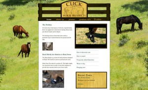 Click Horse Products