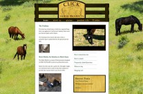 Click Horse Products